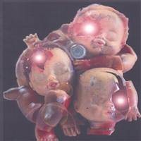 Down the Beaten Path